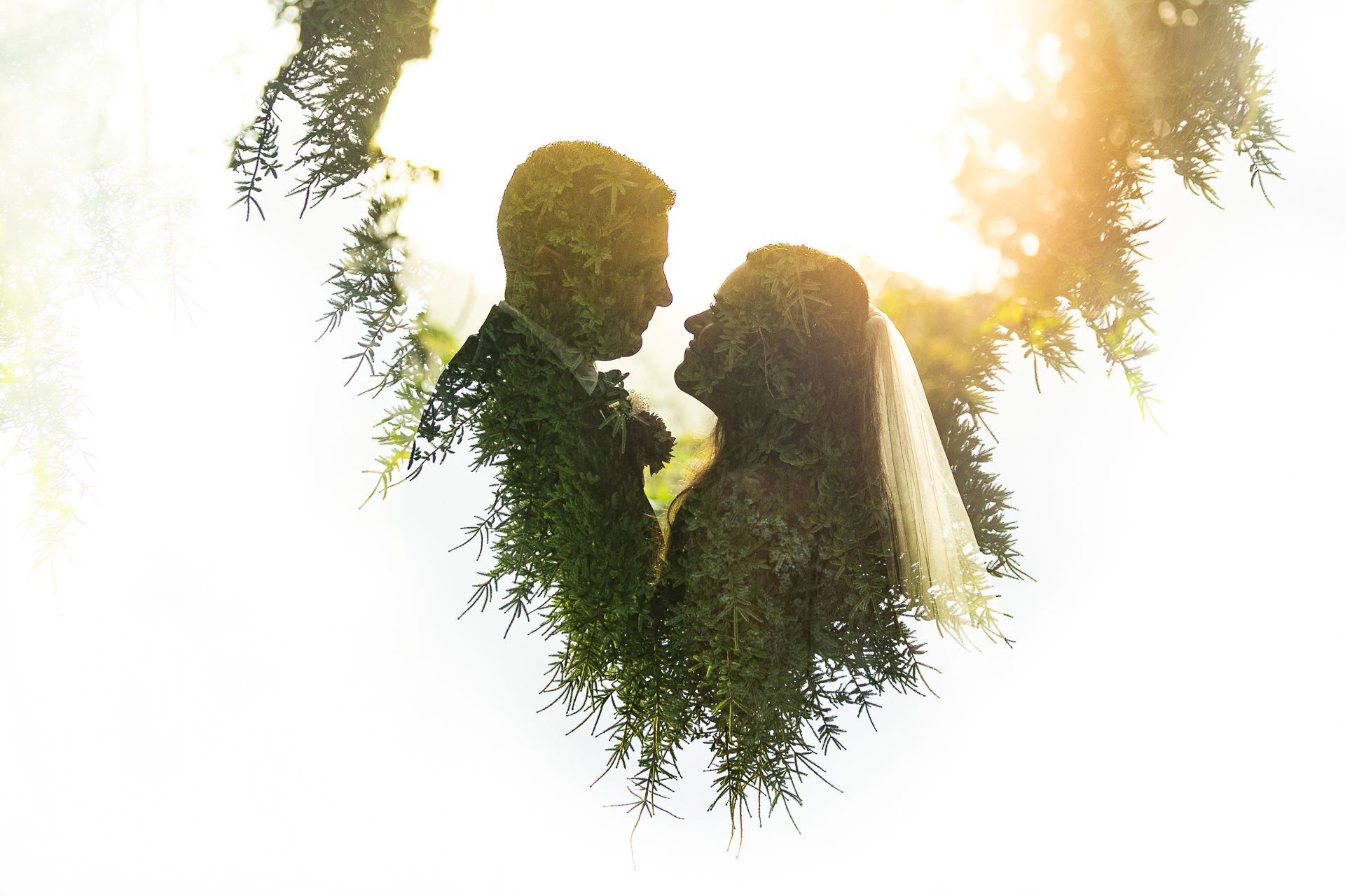 Double Exposure